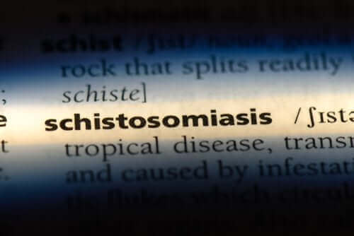 शिस्टोसोमियासिस क्या है और यह कैसे होता है?