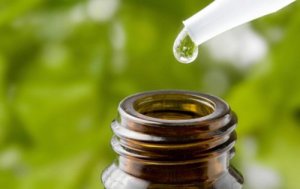 मुंह के छाले से राहत : टी ट्री ऑयल (Tea tree oil)