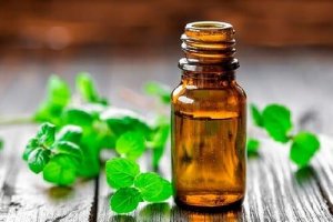 7 नेचुरल फ्लाई रिपेलेंट : वोदका