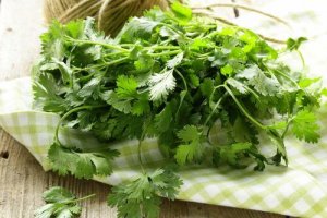 धनिया शरीर से टॉक्सिन