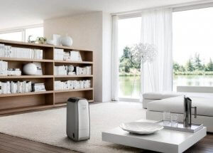 डीह्यूमिडिफायर (dehumidifier)