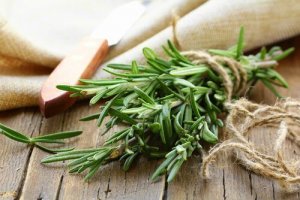 हर्ब मेंहदी Rosemary