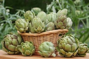 आर्टिचोक (Artichoke) और यूरिक एसिड