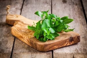 हड्डियों हड्डियों की सेहत के लिए तुलसी (Basil)