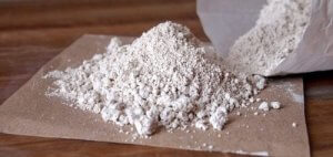 डायटोमेसियस मिटटी से पिस्सू से छुटकारा कैसे पायें