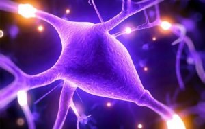 मैग्नीशियम कैसे आपकी मानसिक क्षमताओं में सुधार करता है