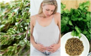 6 कार्मिनेटिव हर्ब जो गैस से छुटकारा पाने में मददगार हैं