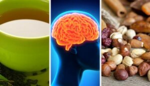 याददाश्त बढ़ाने के लिए क्या खाएं, तेज दिमाग के लिए कुछ टिप्स