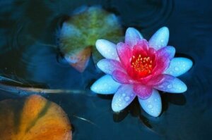 5 बातें जो आपको अपने साथ किसी तरह के दुर्व्यवहार के मामले में करना चाहिए