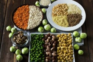 शरीर में प्रोटीन के कामकाज