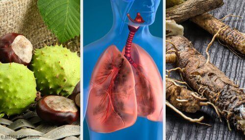 फेफड़े मजबूत करने के लिए 4 घरेलू इलाज
